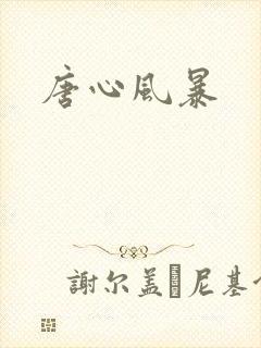 唐心风暴