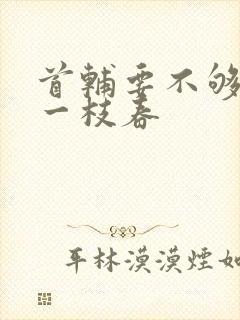 首辅要不够po一枝春