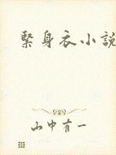 紧身衣小说