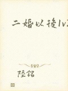 二婚以后1v2封面