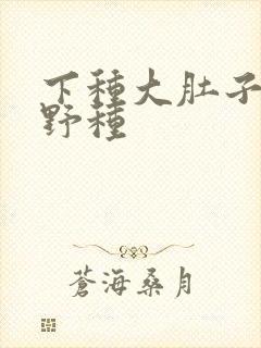 下种大肚子怀孕野种