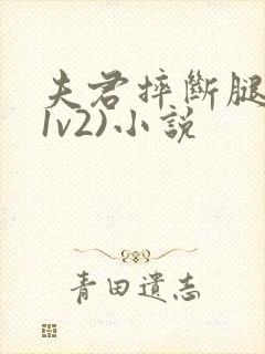 夫君摔断腿后(1v2)小说