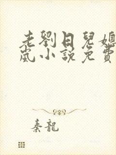 老刘日儿媳妇张岚小说免费阅读