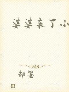 婆婆来了小说封面