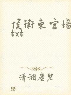 侯卫东官场笔记txt