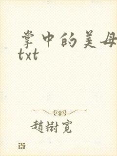 掌中的美母版主txt封面