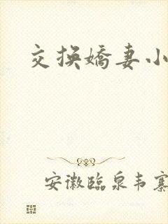 交换娇妻小说封面