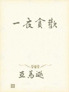 一夜贪欢封面