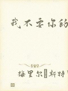 我不要你的承诺