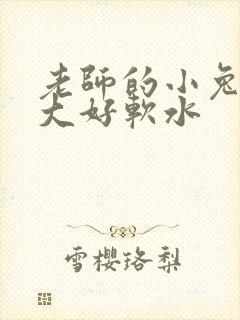 老师的小兔子好大好软水