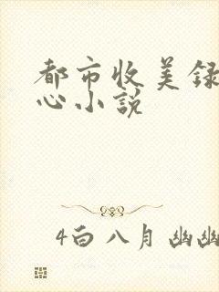 都市收美录宁素心小说