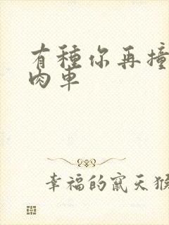 有种你再撞一下肉车封面