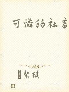 可怜的社畜小说