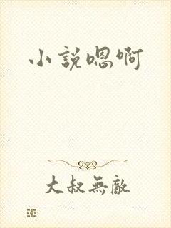 小说嗯啊