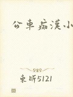 公车痴汉小说
