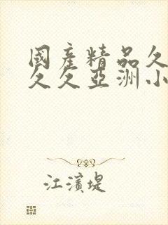 国产精品久久久久久亚洲小说