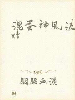 混蛋神风流史txt