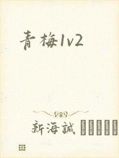 青梅1v2