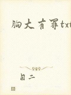 胸大有罪txt封面