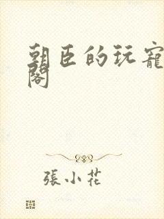 朝臣的玩宠笔趣阁封面