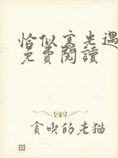 恰似寒光遇骄阳免费阅读