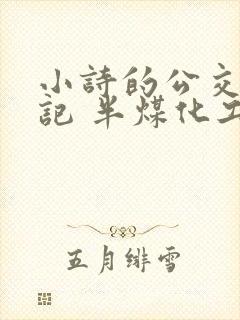 小诗的公交车日记 半煤化工封面