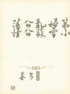 荡公乱妇第1章情公苏雪小说