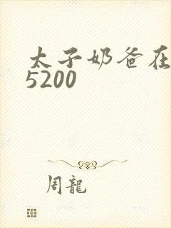 太子奶爸在花都5200