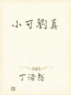 小可刘真封面