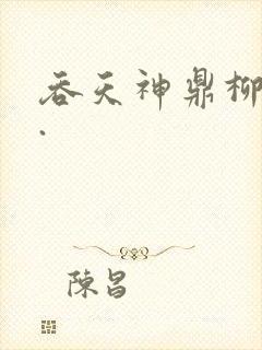 吞天神鼎柳无邪.