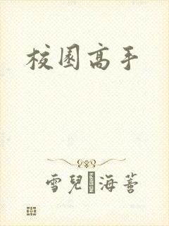 校园高手