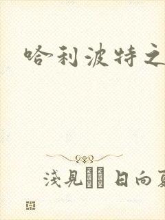 哈利波特之守护