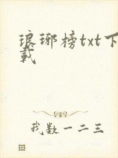 琅琊榜txt下载