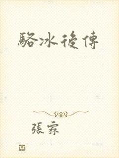 骆冰后传封面
