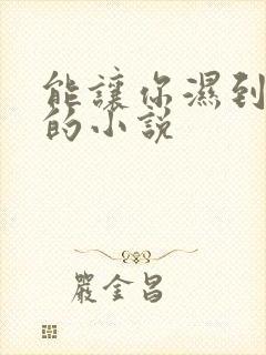 能让你湿到不行的小说