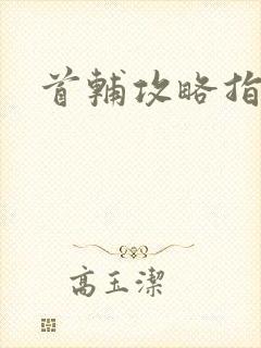 首辅攻略指南封面