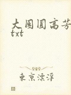 大团圆高芳小说txt