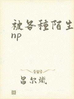 被各种陌生人 np