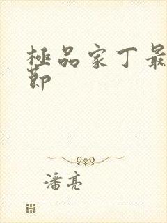 极品家丁最新章节