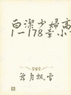 白洁少妇高义第1一178章小说