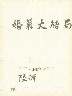 婚巢大结局封面