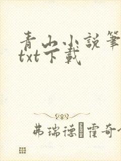 青山小说笔趣阁txt下载