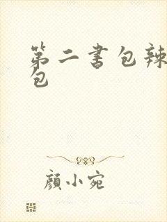 第二书包辣荷花包封面