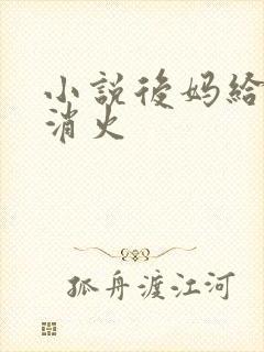 小说后妈给我消消火