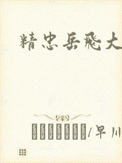 精忠岳飞大结局