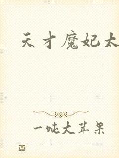 天才魔妃太难追封面