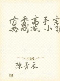 偷香高手完整版无删减 小说