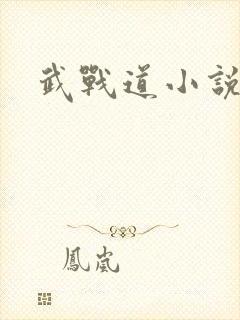 武战道小说