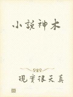 小说神木