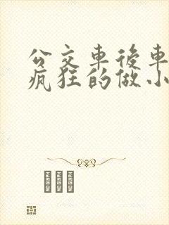 公交车后车座的疯狂的做小封面